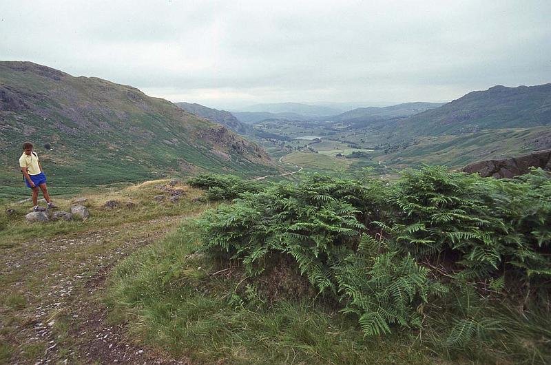 WT 3100 346-30 UK-3.jpg